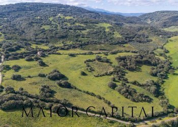 Terreno agricolo SP 14, Arzachena - foto 2