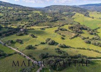 Terreno agricolo SP 14, Arzachena - foto 3