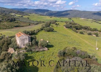 Terreno agricolo SP 14, Arzachena - foto 4