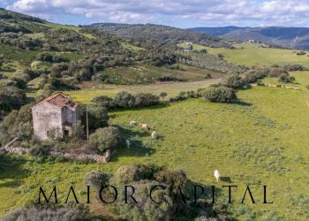 Terreno agricolo SP 14, Arzachena - foto 5