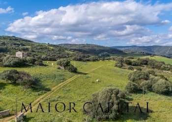 Terreno agricolo SP 14, Arzachena - foto 7