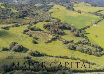 Terreno agricolo SP 14, Arzachena - foto 8