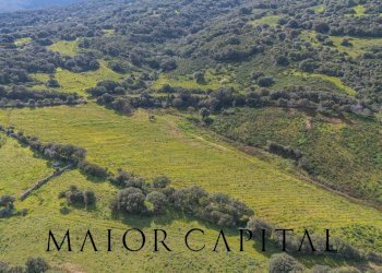 Terreno agricolo SP 14, Arzachena - foto 9