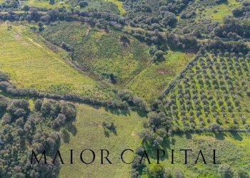 Terreno agricolo SP 14, Arzachena - foto 10