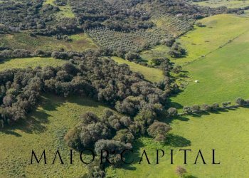 Terreno agricolo SP 14, Arzachena - foto 11