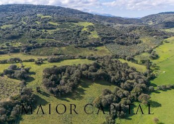 Terreno agricolo SP 14, Arzachena - foto 12