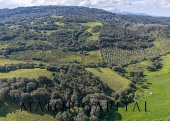 Terreno agricolo SP 14, Arzachena - foto 13