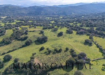 Terreno agricolo SP 14, Arzachena - foto 14