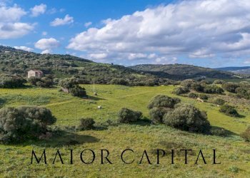 Terreno agricolo SP 14, Arzachena - foto 15