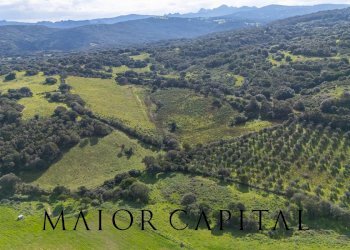 Terreno agricolo SP 14, Arzachena - foto 16