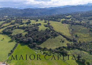 Terreno agricolo SP 14, Arzachena - foto 17