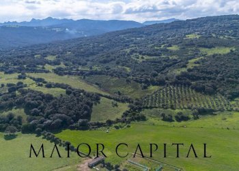 Terreno agricolo SP 14, Arzachena - foto 18