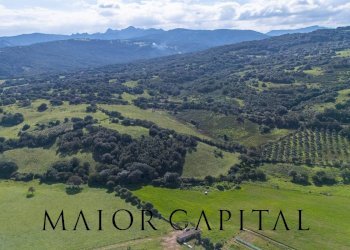 Terreno agricolo SP 14, Arzachena - foto 19