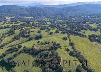 Terreno agricolo SP 14, Arzachena - foto 20