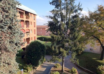 Quadrilocale VIA MATTEOTTI, Appiano Gentile - foto 12