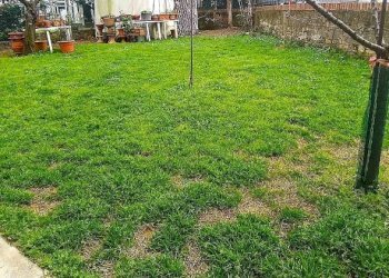 Giardino - Quadrilocale via Fratelli Cervi, Montelupo Fiorentino - foto 8