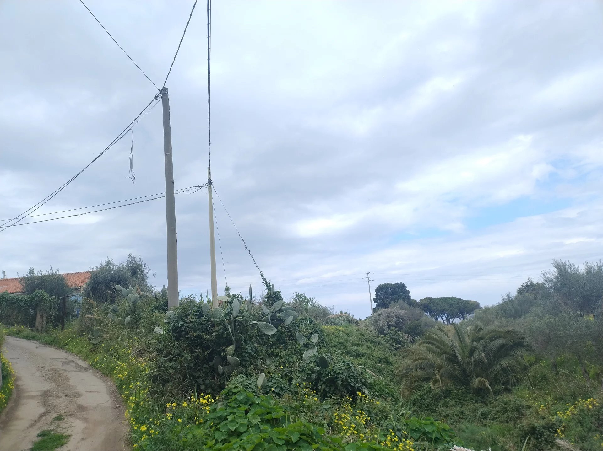 Agricultural land Contrada Malapezza, Messina - photo 2