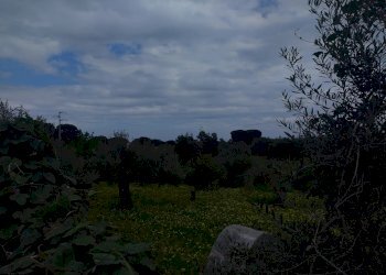 Terreno agricolo Contrada Malapezza, Messina - foto 4