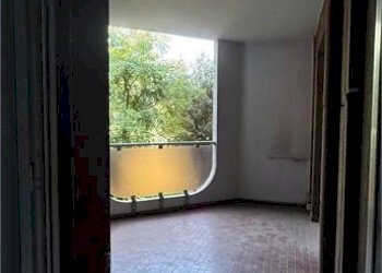 Trilocale Beinasco - foto 6