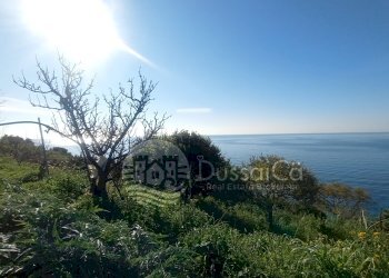 Casa semi indipendente Corso A. Toscanini, snc, frazione Latte, Ventimiglia - foto 9