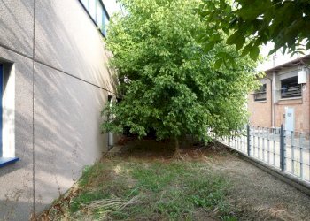 corte retro - Capannone Castel Bolognese - foto 6