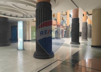 Ufficio Via Po, Casoria - foto 4