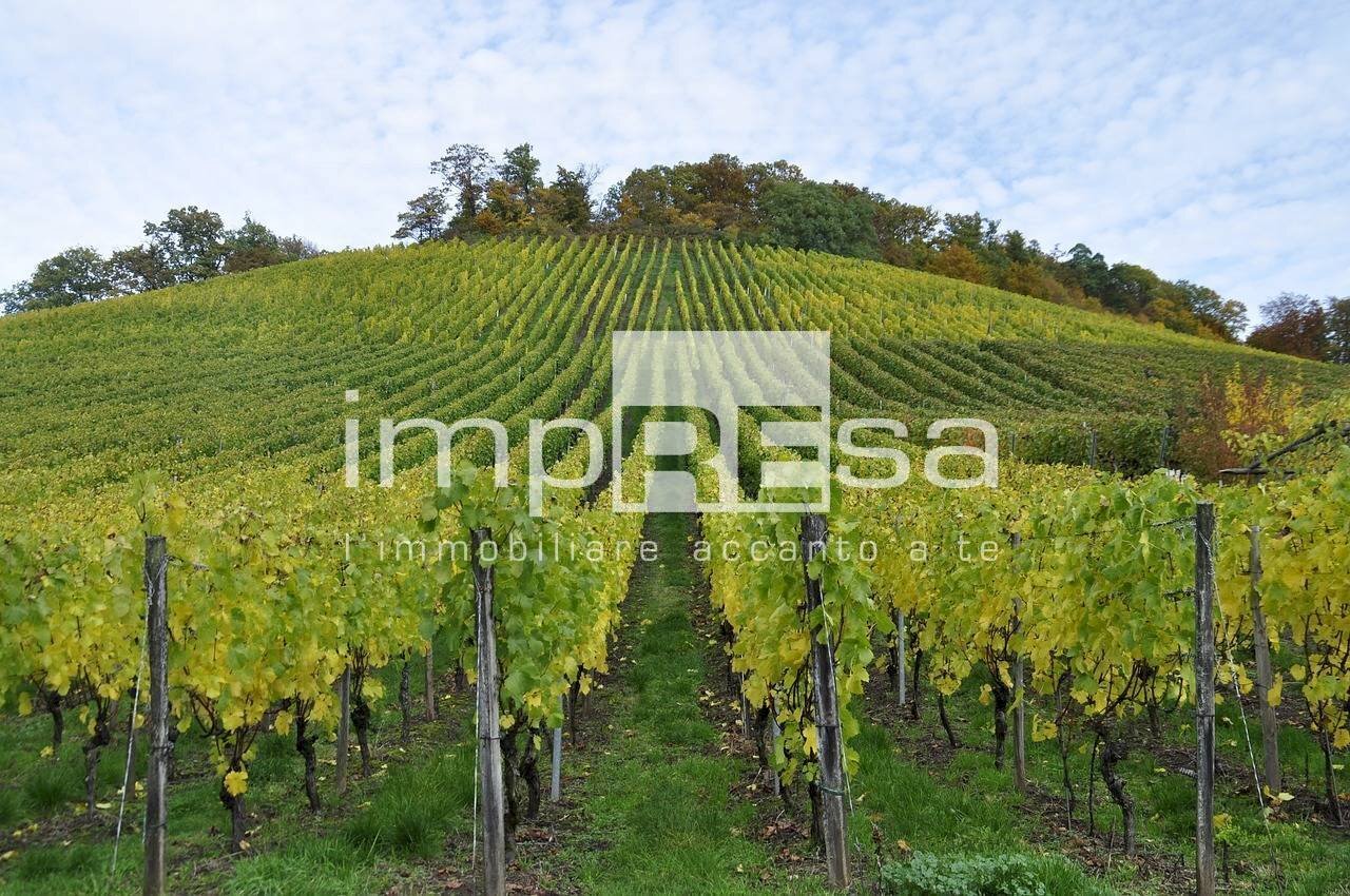 Terreno agricolo Valdobbiadene - foto 1