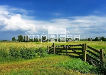 Terreno agricolo Valdobbiadene - foto 6