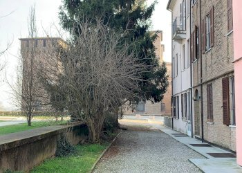 Quadrilocale Mantova - foto 18
