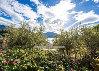 Giardino - Villa via del Castello, Recco - foto 46