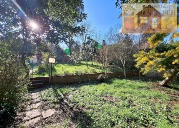 Giardino - Casa indipendente via Galileo Galilei, Poggio a Caiano - foto 1