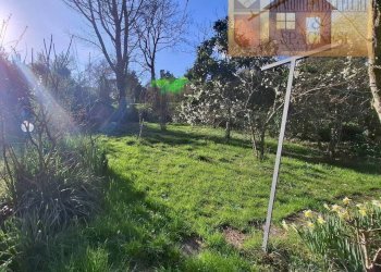 Giardino - Casa indipendente via Galileo Galilei, Poggio a Caiano - foto 3