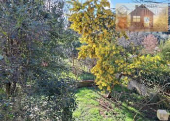 Giardino - Casa indipendente via Galileo Galilei, Poggio a Caiano - foto 10