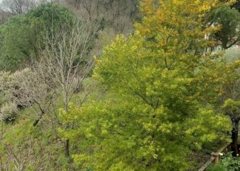 Vista - Quadrilocale Genova (zona Bolzaneto) - foto 24