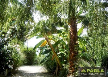 Villa Sciacca - foto 29