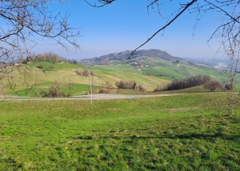 Porzione di casa Terenzo - foto 101