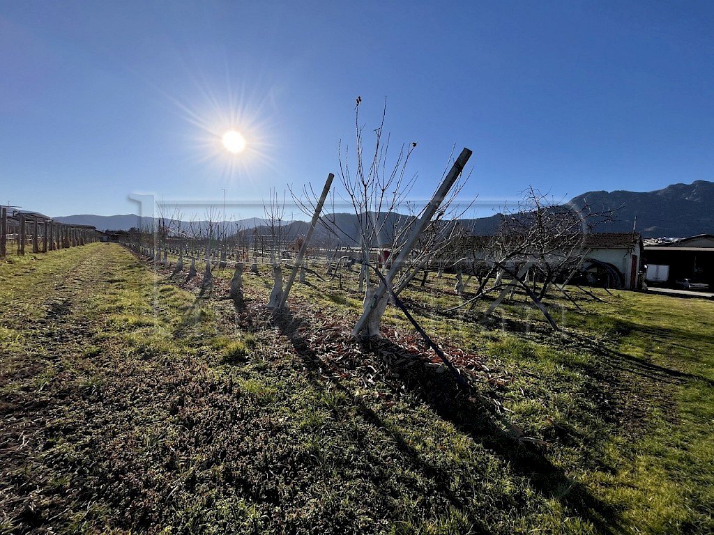 Terreno agricolo Revello - foto 2