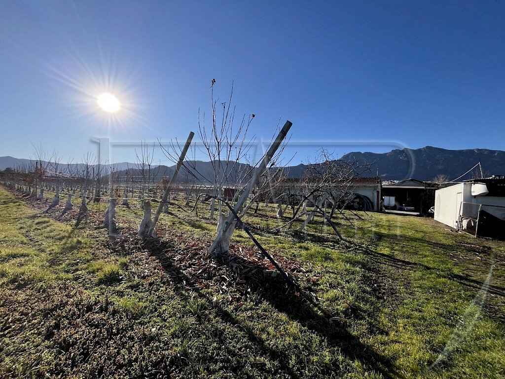 Terreno agricolo Revello - foto 3