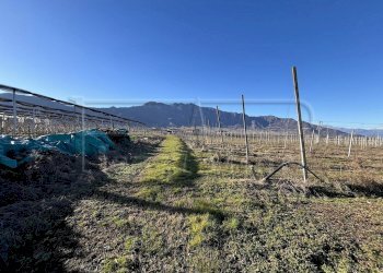 Terreno agricolo Revello - foto 7