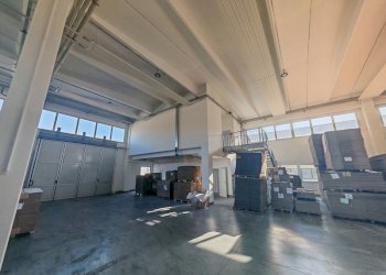 Shed Castel Guelfo di Bologna - photo 11