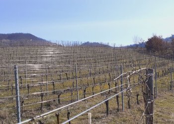 Casa indipendente CORSO BAGNI 38, Acqui Terme - foto 28