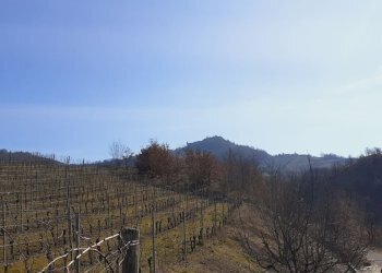 Casa indipendente CORSO BAGNI 38, Acqui Terme - foto 29