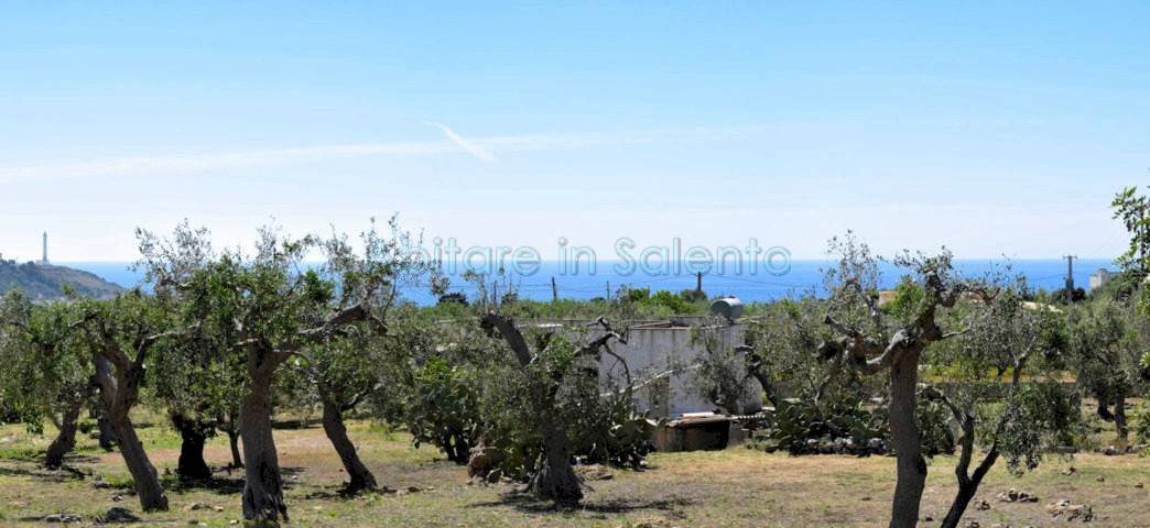 Terreno agricolo strada Provinciale Castrigano del Capo Marina di Leuca, Castrignano del Capo - foto 2