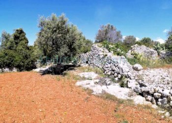 Terreno agricolo strada Provinciale Castrigano del Capo Marina di Leuca, Castrignano del Capo - foto 8