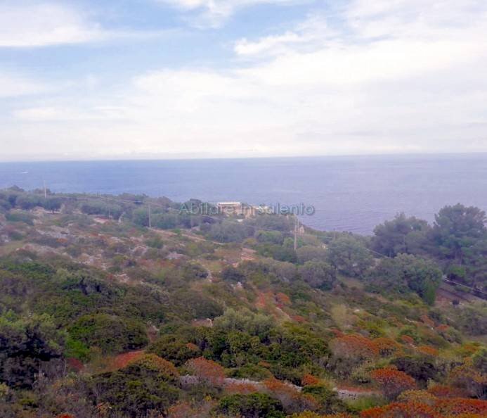 Terreno agricolo strada Comunale Serra, Gagliano del Capo - foto 2
