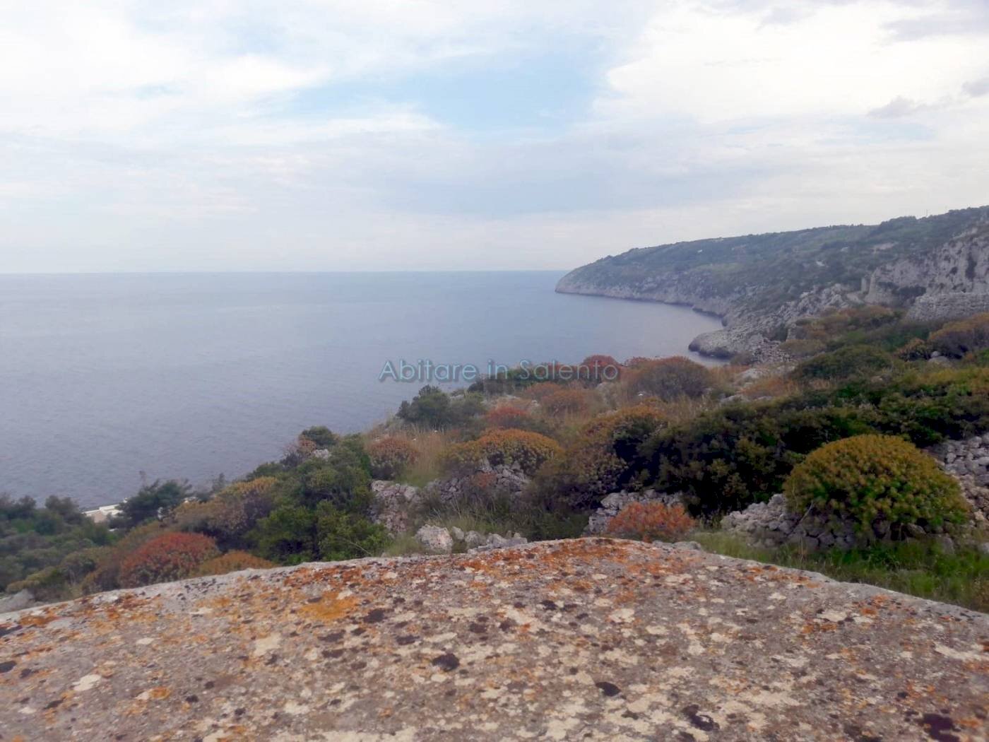 Terreno agricolo strada Comunale Serra, Gagliano del Capo - foto 3