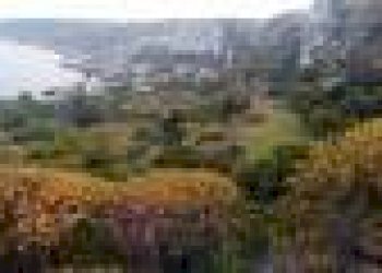 Terreno agricolo strada Comunale Serra, Gagliano del Capo - foto 1