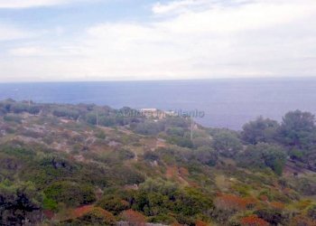 Terreno agricolo strada Comunale Serra, Gagliano del Capo - foto 2