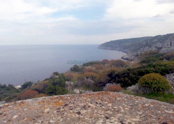Terreno agricolo strada Comunale Serra, Gagliano del Capo - foto 3