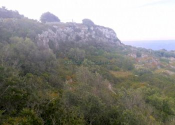 Terreno agricolo strada Comunale Serra, Gagliano del Capo - foto 4